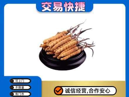 洛阳市西工回收冬虫夏草多少钱每克
